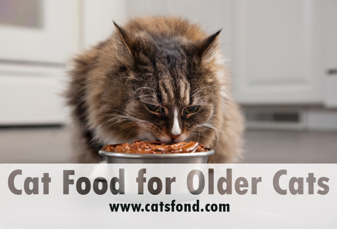 best cat food for older cats