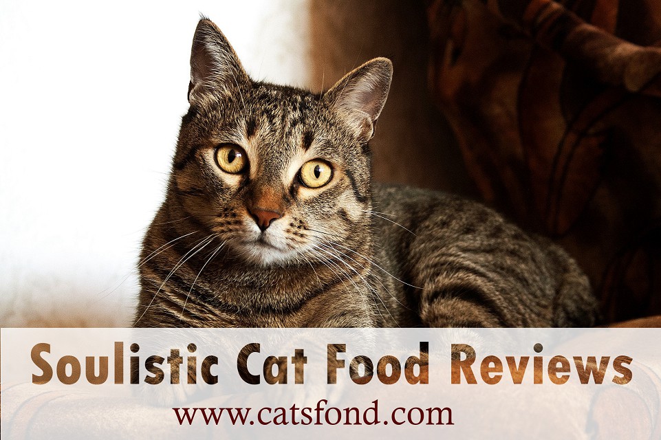 soulistic cat food reviews